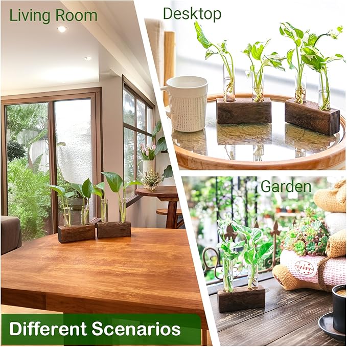 Ivolador Plant Propagation Stations 4 Test Tube Plants Terrariums in Wooden Stand Gifts for Plant Lovers for Hydroponic Plants Office Home Decor Hydroponic Vase Gift Box 2 Sets