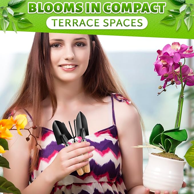 Hand Shovel for Gardening Trowel Garden Tool - 3Pcs Planting Tools Small Garden Rake Ergonomic Hand Tools Set Edging Shovel Indoor Plants Tools - Gardening Tools Heavy Duty Shovel Garden Tool Set