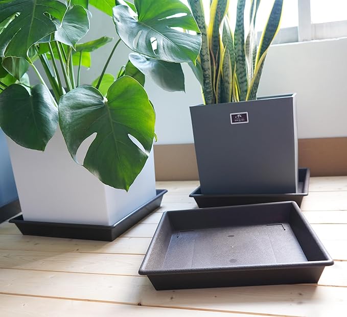 Square Plant Saucer 12 Inch 5 Pack, Plant Stand Plant Trays for Pots Heavy Duty Plastic Plant Saucers for Indoors Outdoors, Flower Pot No Holes Plant Lover Gardening Gifts