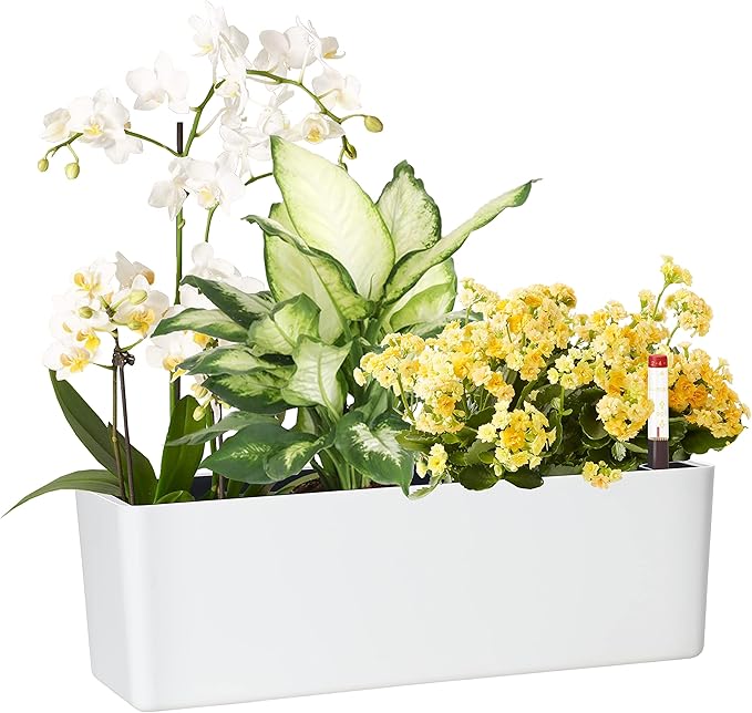GardenBasix Elongated Self Watering Planter Pots Window Box 5.5 x 16 inch Indoor Home Garden Modern Decorative Planter Pot for All House Plants Flowers Herbs (White,1-Pack)