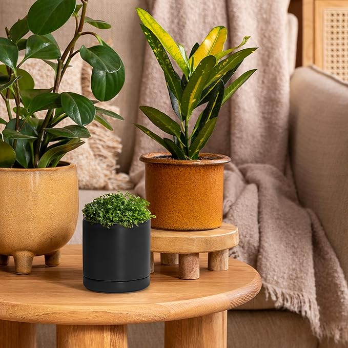 D'vine Dev 3.5 Inch Ceramic Planter Pot with Drainage Hole and Saucer, Indoor Cylinder Round Planter Pot, Black, 94-O-A-2