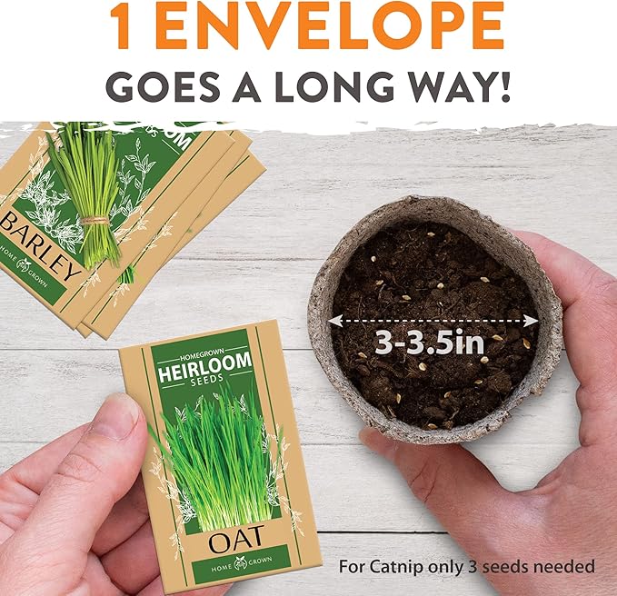 HOME GROWN 3 Cat Grass Seed Mix – Non-GMO Heirloom Oat, Alfalfa & Cat Grass Seeds | Indoor Pet Grass for Cats | High-Germination Greens for Hairball Control, Digestion, and Chewing Enrichment