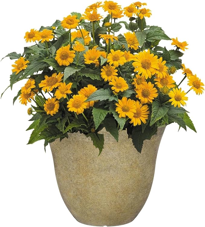 Classic Home and Garden Honeysuckle Resin Flower Pot Planter, Fossil Stone, 15" (Pack of 2)