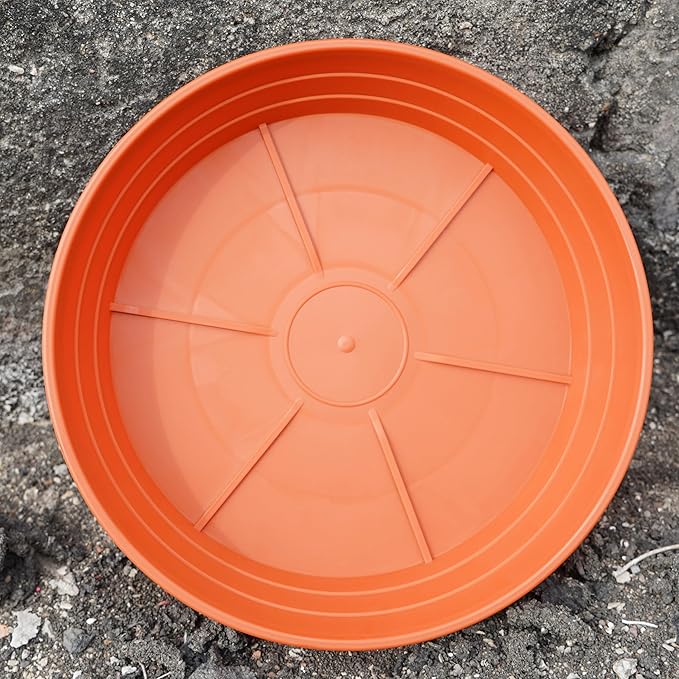 Plant Saucer 14 Inch 2 Pack 6 8 10 12 14 16 18 20 25, Plastic Plant Trays for Pots，Extra-Deep Plant Water Dray Tray, Bird Bath Bowl, Heavy Flower Plant Saucers Indoors and Outdoor No Holes