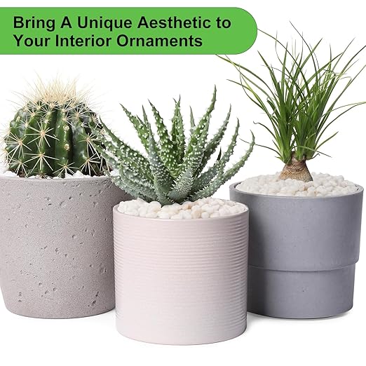 5 lbs White Pebbles for Vases, 3/8" Small Plant Rocks for Pots Indoor, Decorative Pea Gravel for Succulents, Bamboo, Terrarium, Landscape, Garden