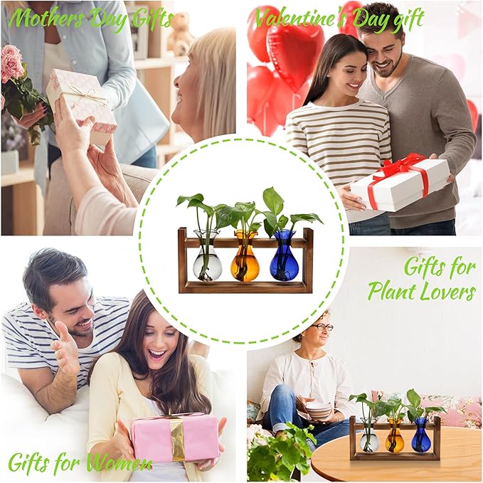 Plant Propagation Station Plant Terrarium Unique Birthday Gifts for Women Plant Lovers Home Office Decor Planter with Wooden Stand - 3 Bulb Glass Vase