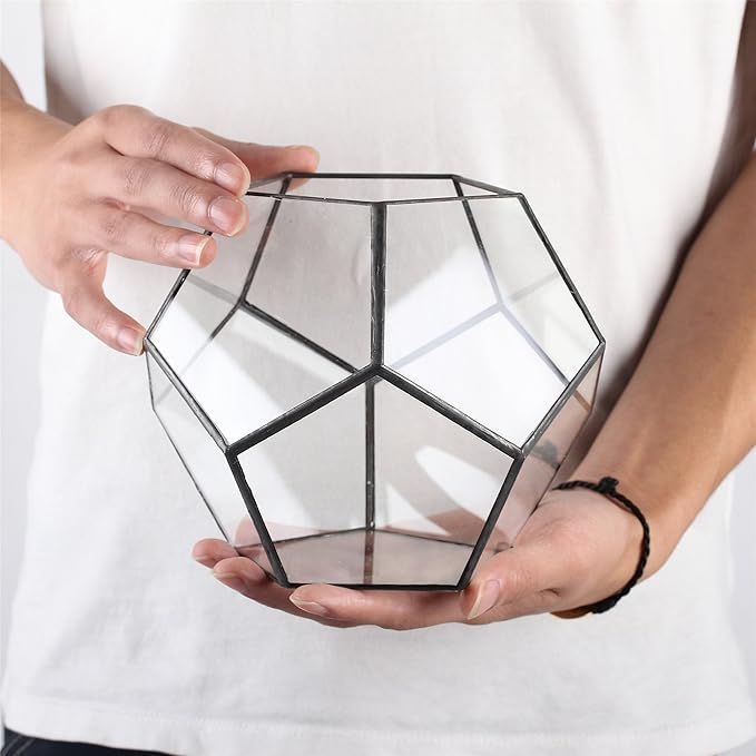 NCYP Small Open Terrarium Planter - 6.89" x 6.89" x 5.9" Pentagon Geometric Glass Container Pot for Succulents, Air Plants - Home Garden Tabletop Miniature Decor, Black (No Plants)