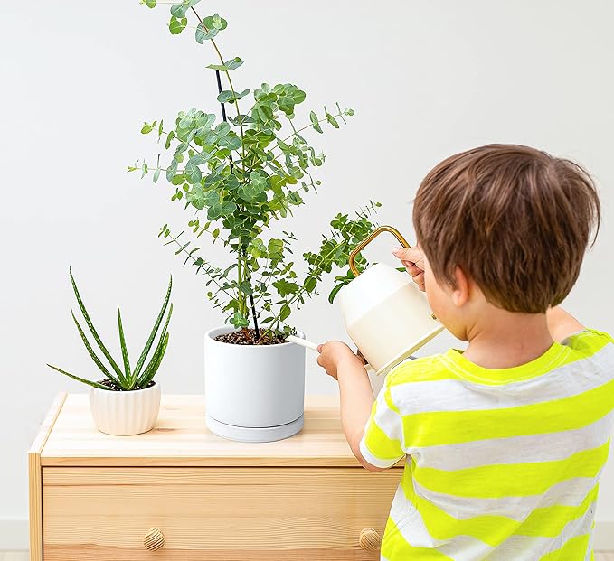 D'vine Dev Set of 4 Small Ceramic Plant Pots, 4.6 Inch Succulent Planter Pot for Plants with Drainage Hole and Saucer, White, 94-X-B-1