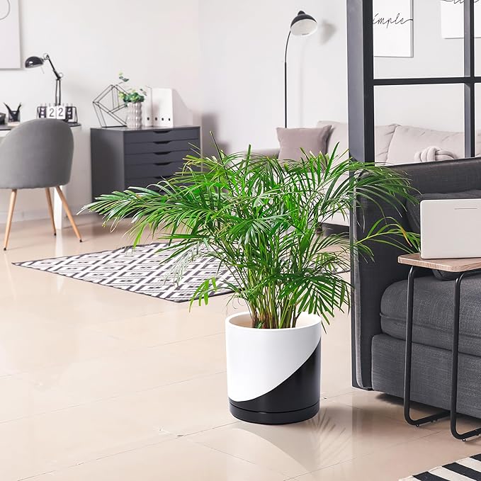 D'vine Dev 12 Inch Ceramic Planter Pot with Drainage Hole and Saucer, Indoor Cylinder Round Planter Pot, Oblique Monochrome Black and White, 94-O-F-K