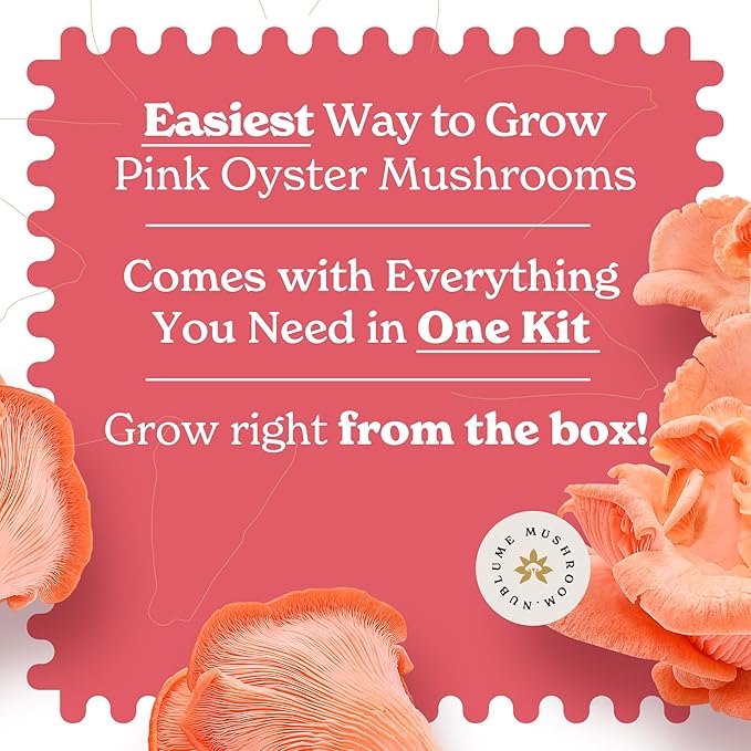 Pink Oyster Mushroom Grow Kit, Grow Your Own Fresh Gourmet Mushrooms at Home, Includes Instructions and Recipes (Pink Oyster)