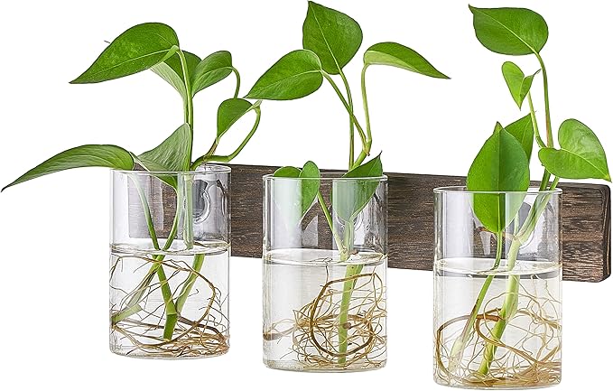 Mkono Propagation Station Wall Planter Glass Cylinder Vase Hanging Terrarium for Hydroponics Plant Cutting Indoor Outdoor Decor Brown, Plant Lover Gift