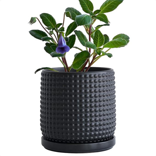 D'vine Dev 6 Inch Ceramic Beaded Stoneware Planter Pot - Flower Pot with Drainage Holes and Saucers for Indoor Succulent Plants or Flowers, Ebony Matte, 27-C-X-6