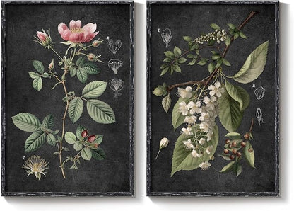 Large Framed Vintage Botanical Wall Art Set of 2, Rustic Retro Dark Floral - Image 9
