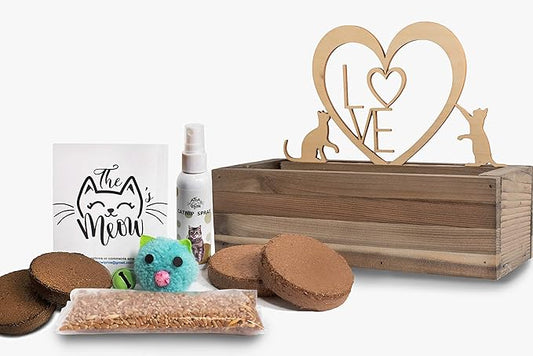 Cat Grass for Indoor Cats Kit – Limited Edition with Decorative Planter, Cat Trellis & Organic Seeds, Free Cat Toy & Catnip Spray for Ultimate Kitty Joy (AW)