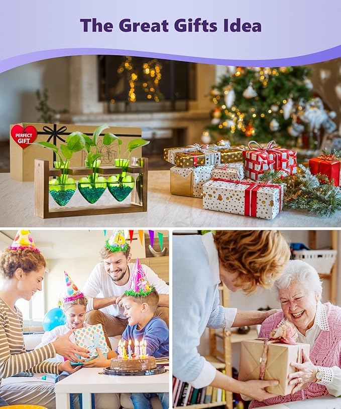 Nacome Plant Terrarium for Office Decor: Birthday Gifts for Plant Lovers Women Mom Wife - Wooden Stand Tabletop Planter 3 Bulb Glass Vase Heart Shaped for Hydroponics Indoor Home(Green)