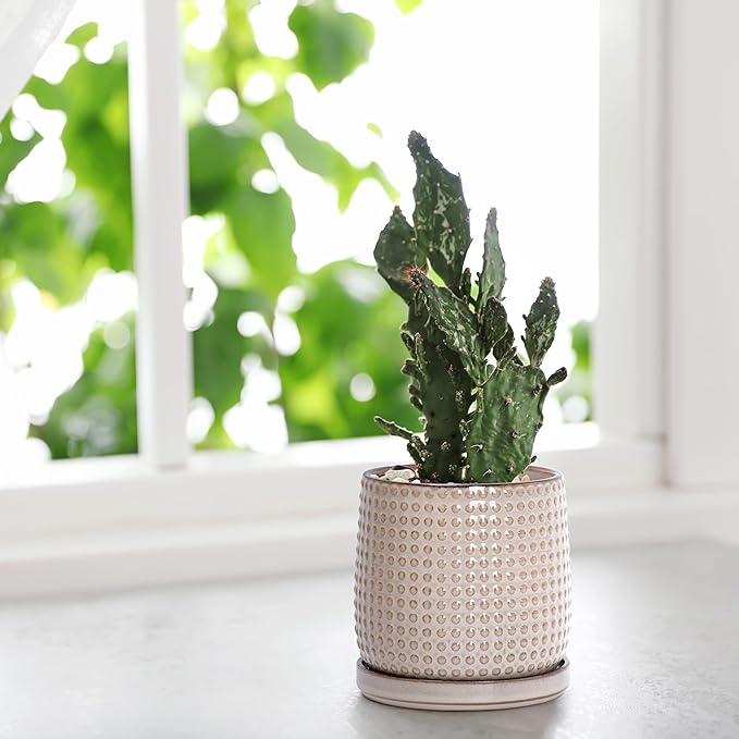 D'vine Dev 4 Inch Ceramic Beaded Stoneware Planter Pot - Flower Pot with Drainage Holes and Saucers for Indoor Succulent Plants or Flowers, Light Brown, 27-C-Z-4