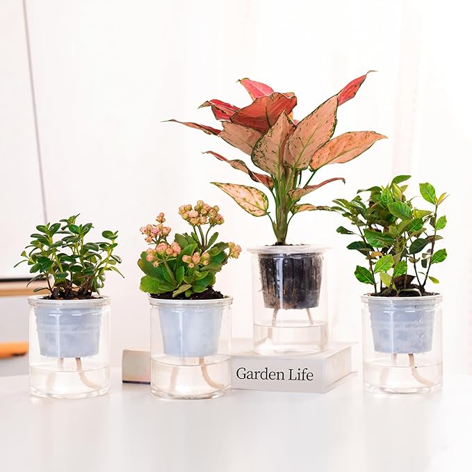 ORIMERC 200 feet 1/4 inch Self Watering Capillary Wick Cord Vacation Plant Sitter DIY Hydroponic Wicking Rope Seeds Start Planter Pot Automatic Potted Flower Passive Lazy Waterer String System Device