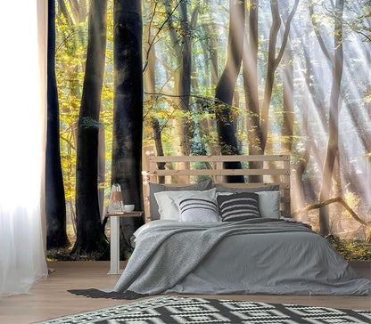 XMPMBM-Sunny Forest Woodland Fabric Wallpaper Misty Tree Living Room Bedroom by XMPMBM-Wallpaperthatwontpeeloff