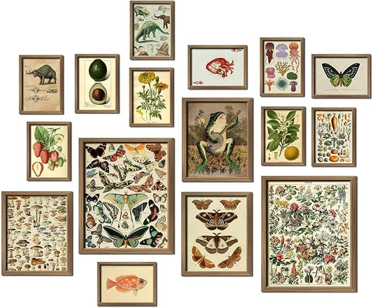 ANERZA 16 PCS Framed Vintage Wall Art Decor, Botanical Cottagecore Wall Prints by ANERZA