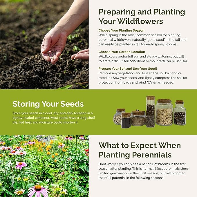 Eden Brothers All Perennial Wildflower Mixed Seeds for Planting, 50 lb, 24,000,000+ Seeds with Lupine, Shasta Daisy | Attracts Pollinators, Plant in Spring or Fall, Zones 3, 4, 5, 6, 7, 8, 9, 10