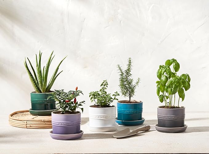 Le Creuset Stoneware Herb Planter, 5.5 Inches, Deep Teal
