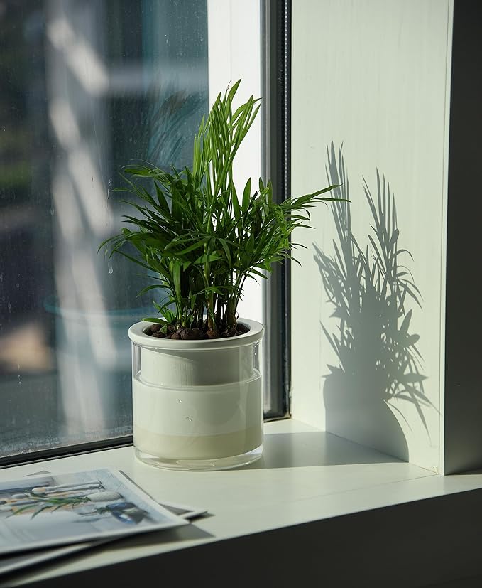 Phoenix Vine 4 Inch Self Watering Planter Pot, Design White Terracotta Pots for Plants, Indoor Cylinder Terra Cotta Pots with Glass Vase, Set of 4, 51-B-E-4