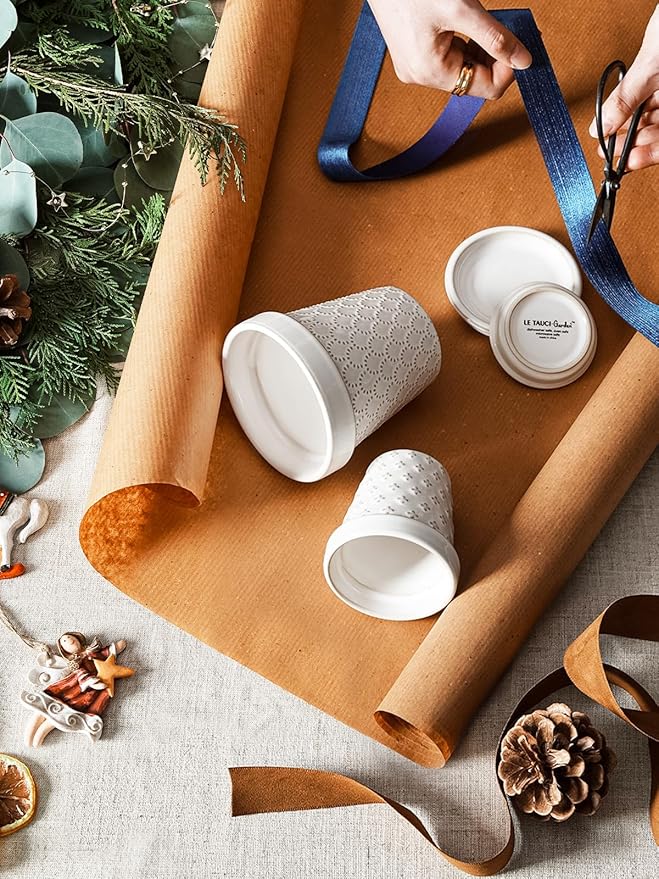 LE TAUCI Ceramic Succulent Pots, 4 Inch Small Plant Pot for Indoor Plant Cactus, Embossed Flower Pots with Drainage Hole & Saucer - Set of 4, Arctic White