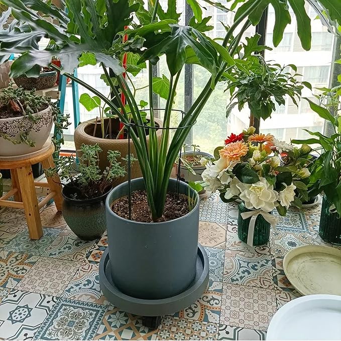 2 Pack of 11 Inch Heavy Duty Plant Caddy with Wheels,Rolling Plant Stand Pot Trolley,Wheeled Planter Saucer Tray,Potted Flower Mover Dolly with Casters Round Coaster for Indoor Outdoor