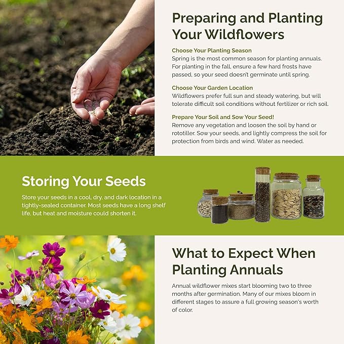 Eden Brothers All Annual Wildflower Mixed Seeds for Planting, 5 lb, 2,400,000+ Seeds with Sunflower, Indian Blanket, Scarlet Flax | Attracts Pollinators, Plant in Spring, Zones 3, 4, 5, 6, 7, 8, 9, 10