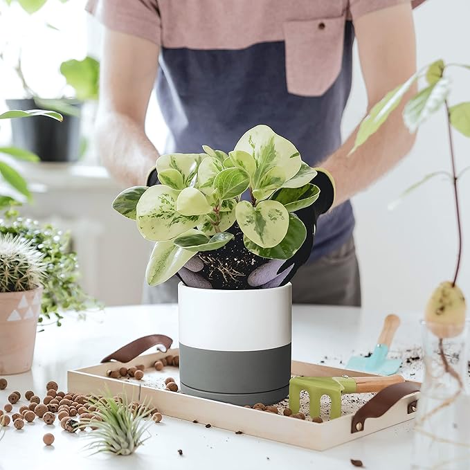 D'vine Dev 6 Inch Ceramic Planter Pot with Drainage Hole and Saucer, Indoor Cylinder Round Flower Pot, White/Speckled Grey, 94-O-C-6