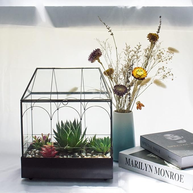 Large Tall Glass Plant Terrarium – House Succulent Terrarium Kit with Lip and Tray Glass Greenhouse Terrarium for Plant 9.5”X5.7”X11.4”