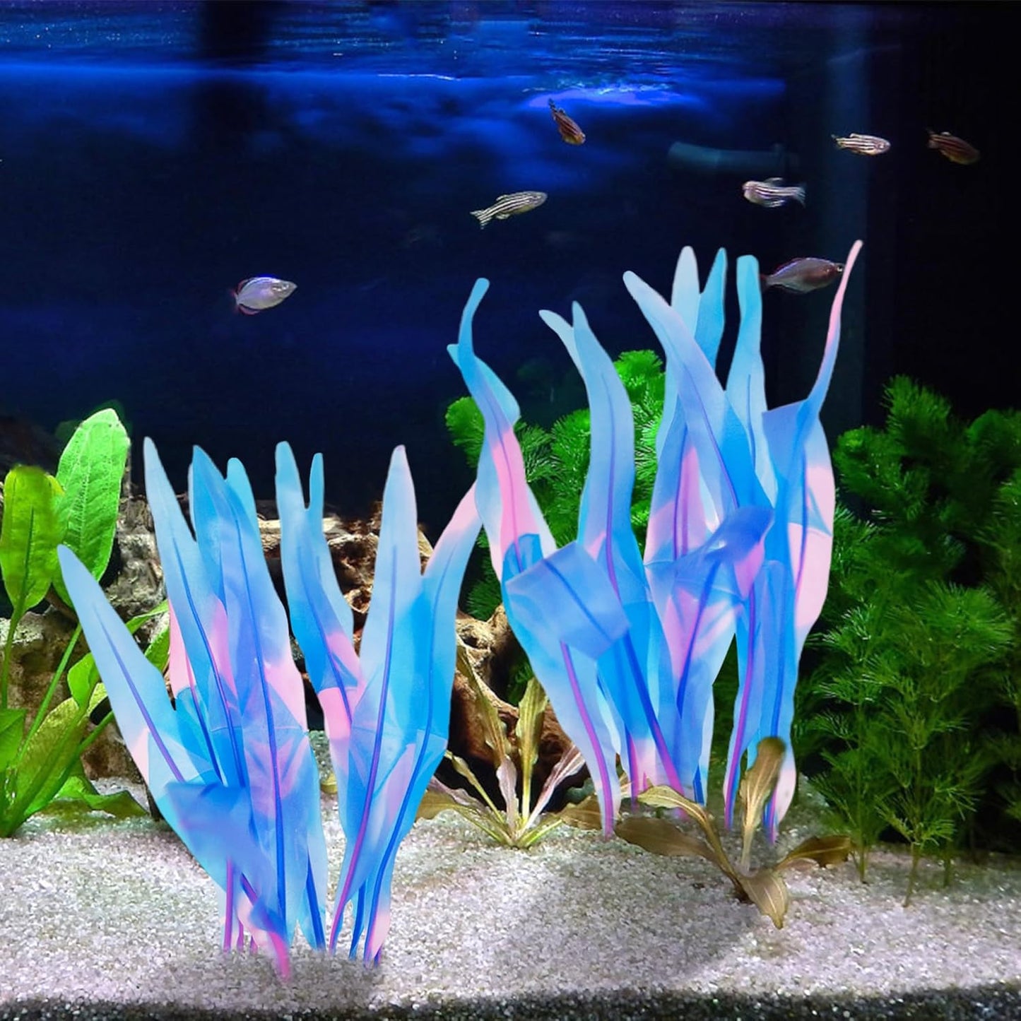 Kaiyuan Dynasty 2pc Silicone Aquarium Plants Artificial Plants for Fish Tank Glowing Kelp Aquarium Plant Decor Fish Tank Plants Simulation Artificial Water Grass,7inch,Blue