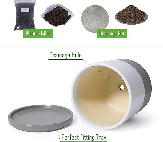 D'vine Dev 8 Inch Ceramic Planter Pot with Drainage Hole and Saucer, Indoor Cylinder Round Planter Pot, White/Speckled Grey, 94-O-D-6