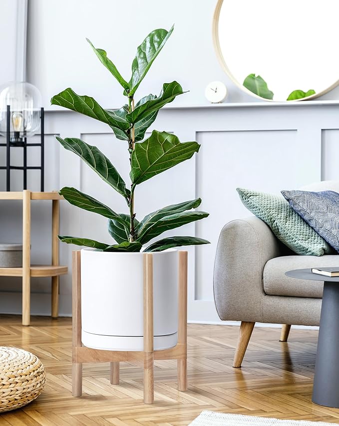 D'vine Dev Ceramic Planter with Natural Stand - 12 Inch Modern Round Flower Pot with Wood Planter Holder, White, 55-B-J-1