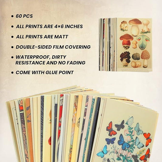 Containlol 60 Pcs Vintage Wall Collage Kit Maximalist Paintings Art Prints - Image 2