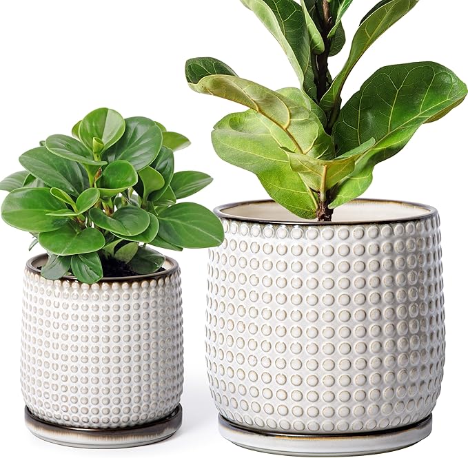 D'vine Dev 8 Inch 6 Inch Ceramic Indoor Planter Pots with Drainage Hole and Saucer, Beaded Design Flower Pots, Set of 2, Smoked White, 27-D-P-1
