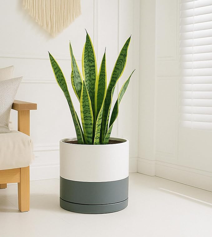 D'vine Dev 12 Inch Ceramic Planter Pot with Drainage Hole and Saucer, Indoor Cylinder Round Planter Pot, White/Speckled Grey, 94-O-F-6