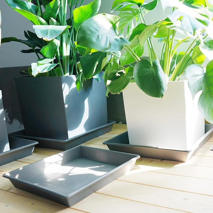 Square Plant Saucer 10 Inch 5 Pack, Plant Stand Flower Pot No Holes, Gray Plant Trays for Pots Heavy Duty Plastic Plant Saucers for Indoors Outdoors Plant Lover Gardening Gifts