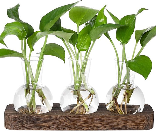 YIBOT Propagation Stations,Plant Propagation Vase,Desk Plant Terrarium with Retro Wooden Stand,Plant Lover Gifts for Women for Hydroponics Plants Home Garden Wedding Decor(3 Vase)