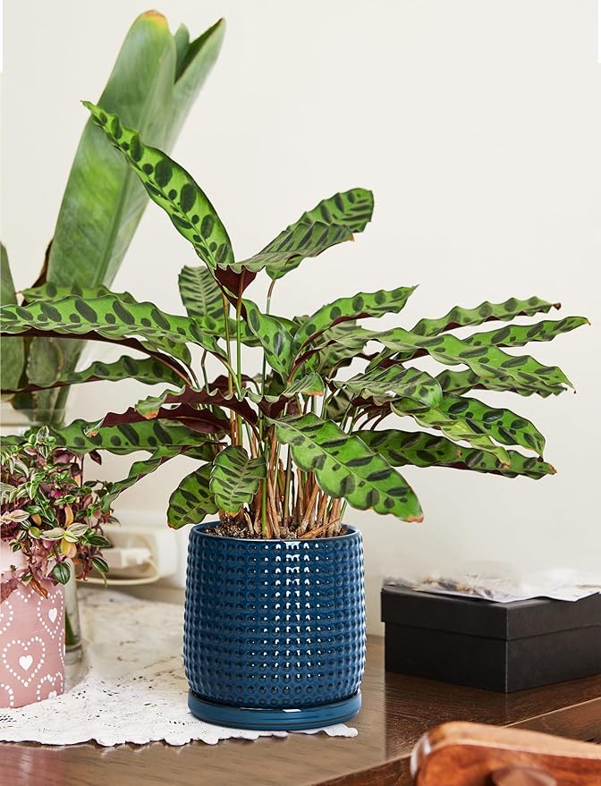 D'vine Dev 6 Inch 4 Inch Ceramic Indoor Planter Pots with Drainage Hole and Saucer, Beaded Design Flower Pots, Set of 2, Blue, 27-D-U-3