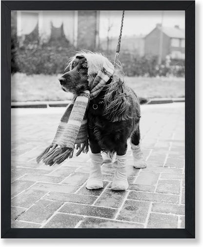 Poster Master Vintage Dog Dressed by PosterMaster
