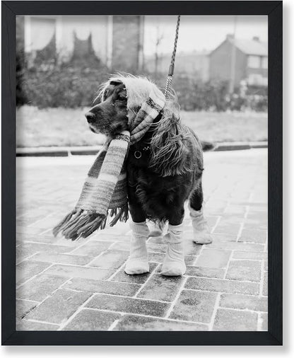 Poster Master Vintage Dog Dressed by PosterMaster