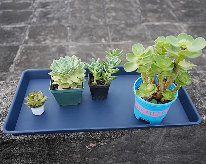 4 Pack Plant Saucer Tray Rectangular, Plant Saucers for Indoors, Heavy Sturdy Plastic Plant Drainage Trays, Plant Drip Trays for Pots, Seed Starter Growing Tray (11 x 9 inch, Blue)