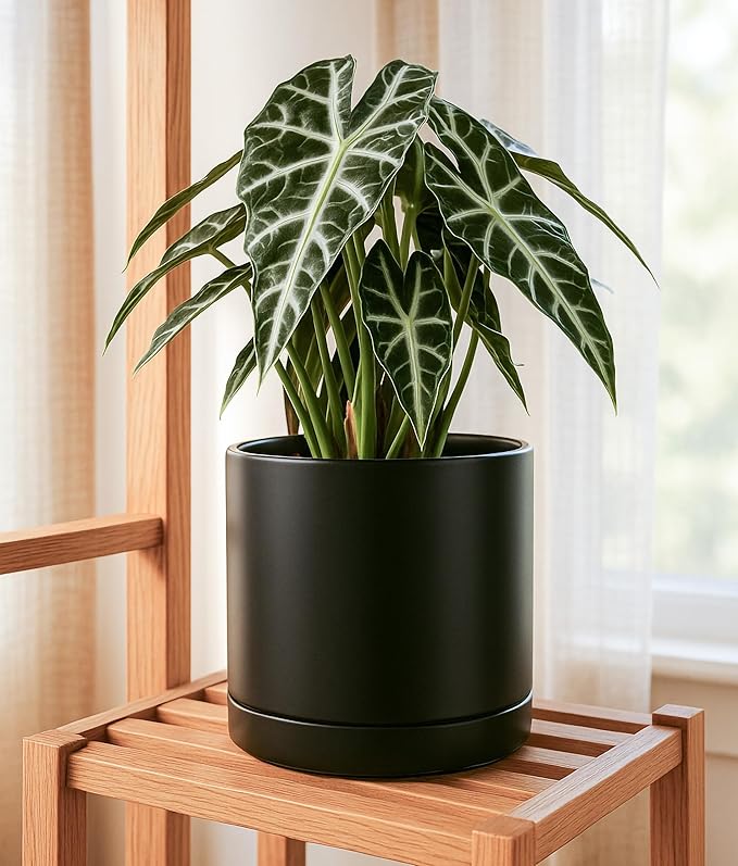 D'vine Dev 8 Inch & 10 Inch Ceramic Planter Pot for Plants with Drainage Hole and Saucer, Large Plant Pots Set, Black, 94-G-L-2