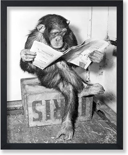 Poster Master Chimpanzee Poster by PosterMaster