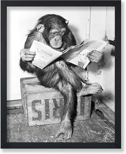 Poster Master Vintage Photograph Poster by PosterMaster