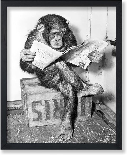 Poster Master Chimpanzee Poster by PosterMaster