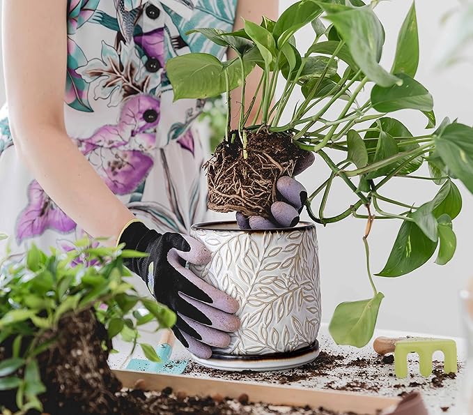 D'vine Dev 6 Inch Embossed Leaves Stoneware Planter Pot with Drainage Hole and Saucer, Smoked White, Set of 1, 27-A-X-1