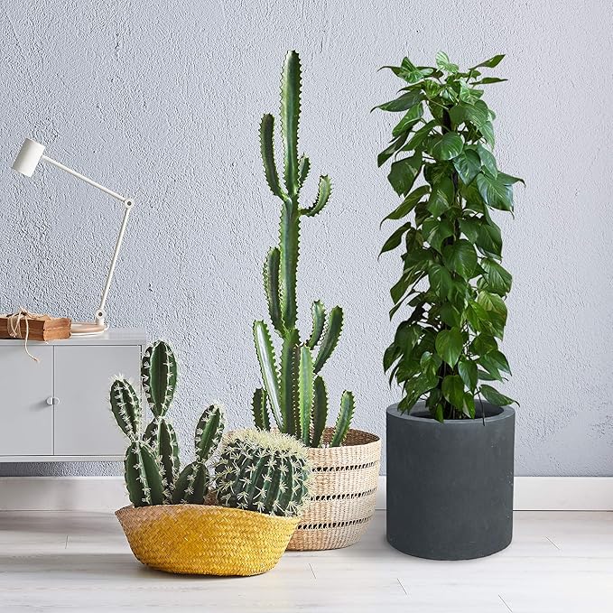 Kante 9.8" Dia Round Concrete Planter, Modern Style Large Cylindrical Plant Pot with Drainage Hole and Rubber Plug for Indoor Outdoor Patio, Charcoal