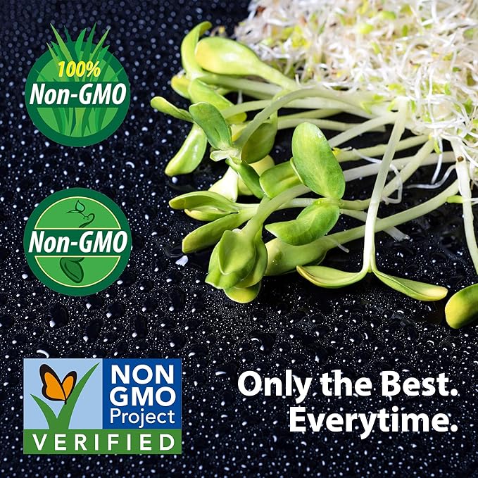 Buckwheat Seeds - 25 Lb Bulk ~300,000 Seeds - Organic, Non-GMO, Whole (Shell On) - Grow Buck Wheat Microgreens, Lettuce